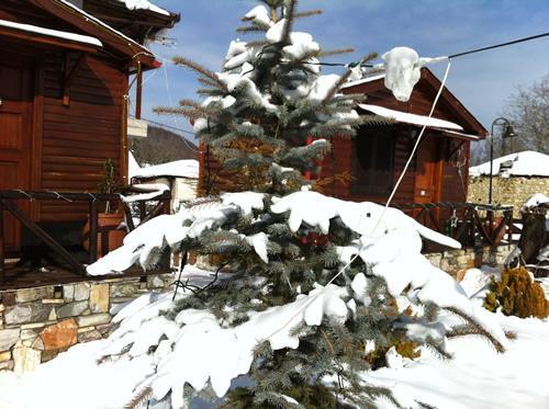 Chalet Parea Metamorfosi  Bagian luar foto